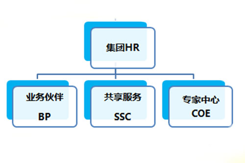 管家婆一肖一码最准资料公开人力资源三支柱模型