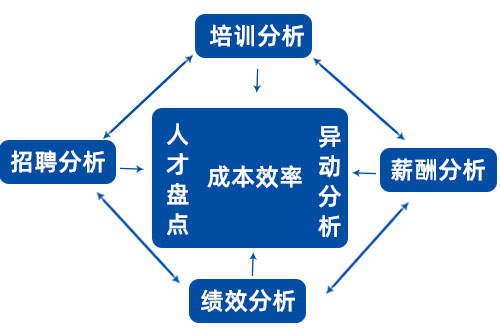 管家婆一肖一码最准资料公开人力资源管理系统HR数据分析模型