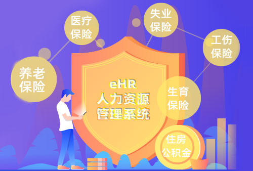 管家婆一肖一码最准资料公开eHR系统助力企业快速适应新社保政策